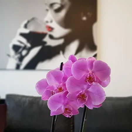 Appartement Eme 2 Braşov