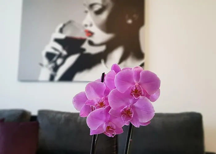 Appartement Eme 2 Braşov